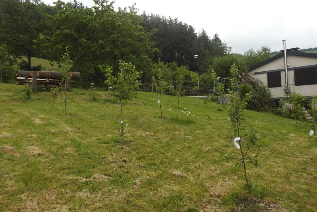 Bergblick Apartment Medebach Bagian luar foto