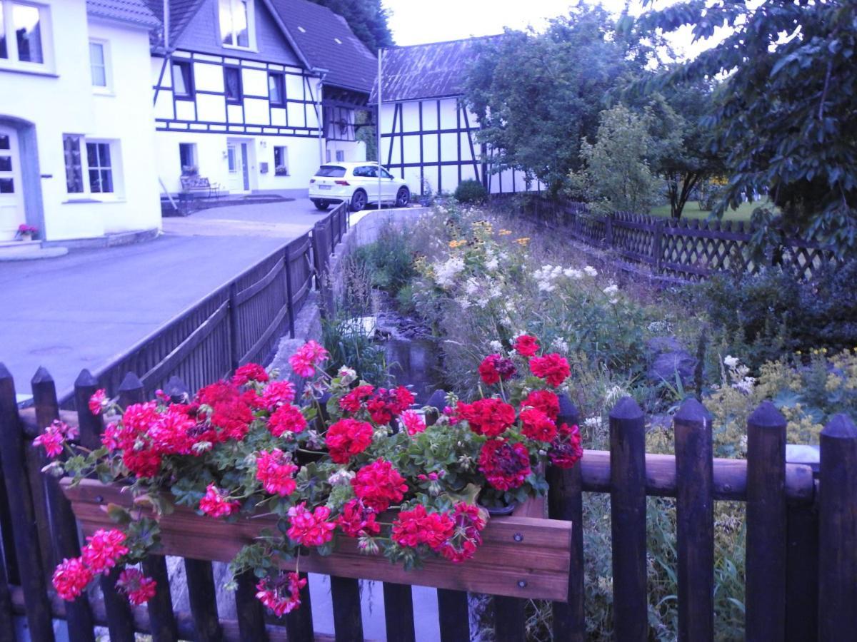 Bergblick Apartment Medebach Bagian luar foto